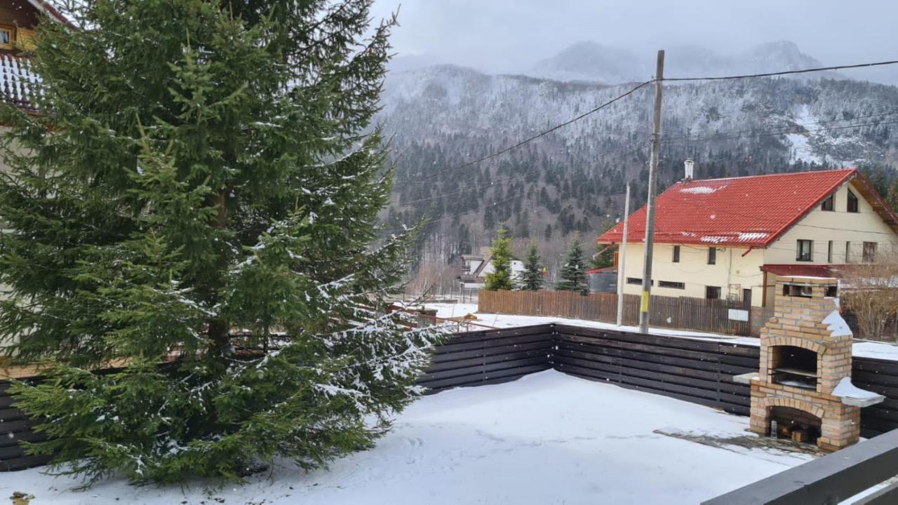 Nordic Chalet Синая Экстерьер фото